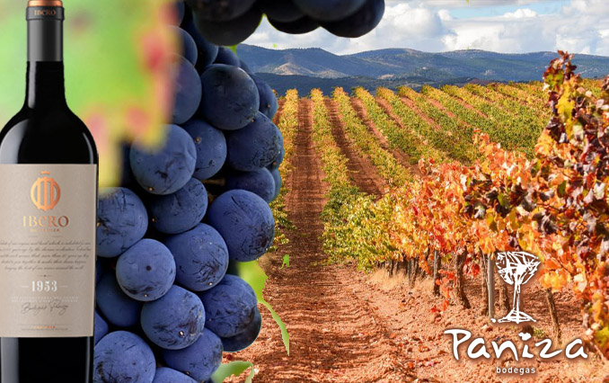 2016 Bodegas Paniza, Ibero de Paniza